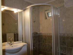 博加奇拉纳公寓的一间带水槽和淋浴的浴室