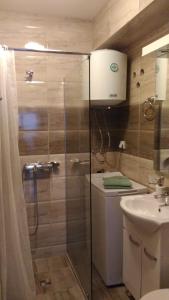 比耶拉Apartman Vukovic的带淋浴、卫生间和盥洗盆的浴室