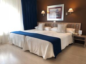 阿尔内多维尔雷酒店的一间卧室配有一张带蓝色毯子的大床