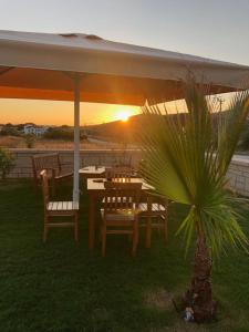 博兹贾阿达岛Ersin Konak的太阳伞下的桌椅,日落