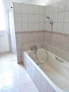 索沃泰尔Chambres Salvaterra的带浴缸和淋浴的浴室