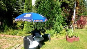 戈鲁别Willa Zamkowisko z ogrodowym jacuzzi的一把蓝色的伞,坐在院子里,有两把椅子