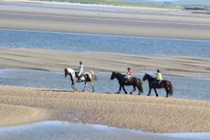 GrangeArmada Lodge Seashore Holiday Apartment的一群人在海滩上骑马