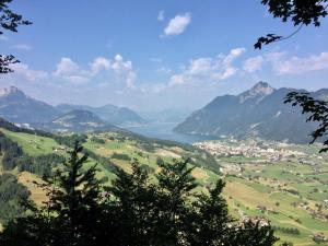 施维茨麦恩公寓的享有山谷、湖泊和山脉的美景。