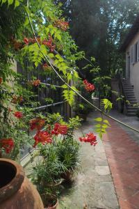 佛罗伦萨巴黎科比内里旅馆的花园种有红色的鲜花,设有围栏
