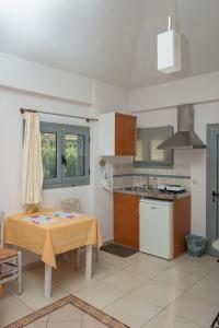 基帕里夏塔斯皮塔基亚特萨尔博普鲁斯酒店的厨房配有桌子、水槽和炉灶。