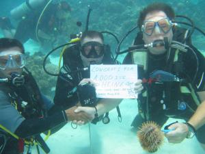 Guindulman薄荷岛拉霍潜水度假村的水肺潜水器里三个人,在水中举着标志
