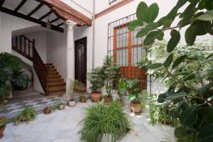 Stunning Alhambra view balconies, in the Albayzin外面的花园