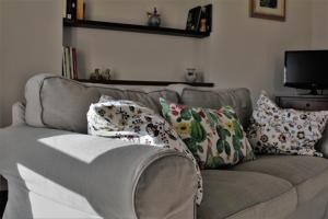 贝瓦尼亚Le Case的客厅配有带枕头的沙发。