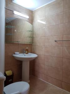 康斯坦察Vila Nicol的一间带水槽和卫生间的浴室