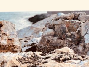 莫尔恰诺迪莱乌卡B&B NiloSira的海滩上与大海的一堆岩石