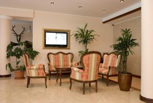 洛约什米热格雷比马厩乡村酒店的一间设有椅子和植物的等候室