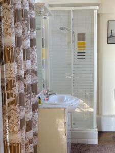 阿瓦同阿瓦顿城堡酒店的一间带水槽和淋浴的浴室