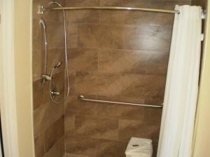 莫哈韦莫哈韦行政酒店的带淋浴和浴帘的浴室