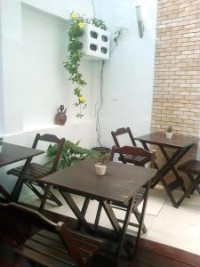 圣路易斯Hotel Pousada Catarina Mina的两把桌子和椅子,位于种有植物的庭院