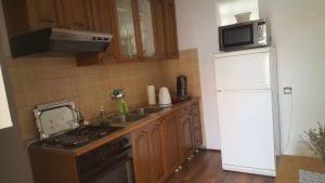 卡尔卢巴格Apartman Zahira的厨房配有冰箱、炉灶和水槽