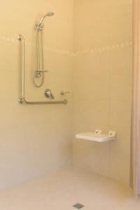 ColvilleTangiaro Retreat的带淋浴和盥洗盆的浴室