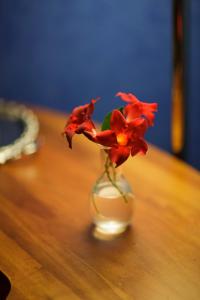 VeroliHotel Relais Filonardi的一张玻璃花瓶,上面有红色的花朵,坐在桌子上