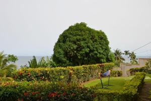 克里比Villa les 3 oisillons的花园里的椅子,花草木