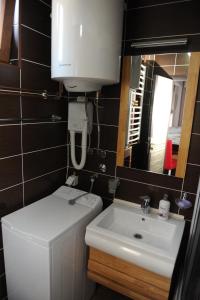 尼克希奇Apartments Erakovic的一间带水槽、卫生间和镜子的浴室