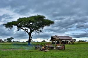 巴纳吉Pumzika Luxury Safari Camp的桌子,树和田野上的帐篷