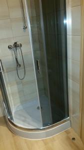 维尔卡瑟Domki letniskowe Yaga的浴室里设有玻璃门淋浴