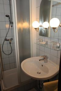维也纳Pension Erlaa的一间带水槽和淋浴的浴室