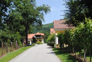 绍萨尔地区基策克葛诺斯古特洛伦茨乡村旅馆的村里一条有房屋和树木的道路