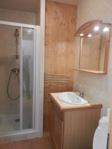 里雾诗appartement T2 LES HOUCHES Pied des Pistes的一间带水槽和淋浴的浴室