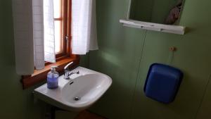 RundtomBorkhushyttene的绿色浴室设有水槽和窗户