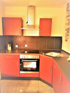 霍夫Apartment Hof-Bayern的厨房配有红色橱柜、炉灶和水槽。