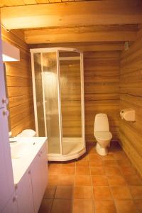 杜姆奥斯Hytter Dombås的带淋浴和卫生间的浴室
