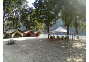 ShivpuriUbud Riverside Camps的一群在树丛中的帐篷