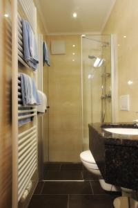 旧明斯特霍切克酒店的带淋浴、卫生间和盥洗盆的浴室