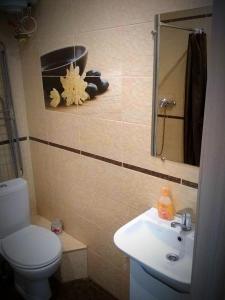 伊万诺-弗兰科夫斯克Квартири подобово Івано-Франківська Nice apartments for booking的一间带卫生间、水槽和镜子的浴室
