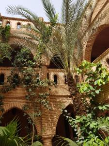 马拉喀什萨尔萨比尔酒店的砖楼前的棕榈树