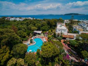 伊斯基亚松林酒店的享有度假村的空中景致,设有游泳池和树木