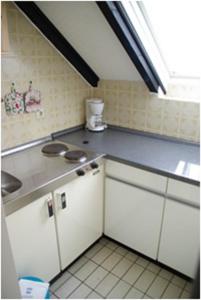 黑尔戈兰岛北光公寓的厨房配有水槽和台面