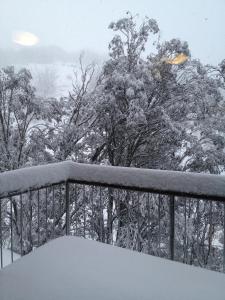 福尔斯克里克Maisonette, Falls Creek的阳台被雪覆盖,后方有树木