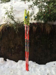 福尔斯克里克Maisonette, Falls Creek的雪中站着一双滑雪板