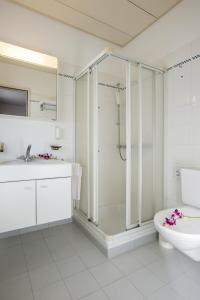 洛迦诺短笛酒店的带淋浴、卫生间和盥洗盆的浴室