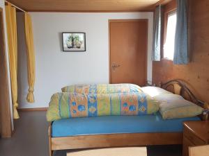 阿彭策尔飞斯乐家庭一室公寓 - 多里格的一间卧室配有一张带蓝色棉被的床