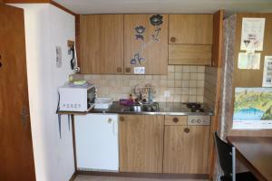 布里恩茨Homestay Brienz的一间带水槽和冰箱的小厨房