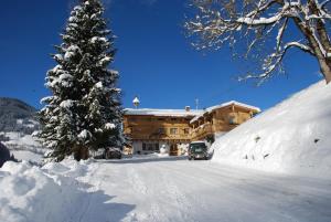 玛丽亚阿尔姆Pension Berghof的雪覆盖的房子前面有圣诞树