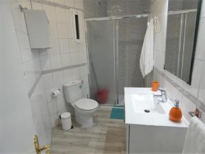 阿罗纳Rosamar Luxury Apartment的浴室配有卫生间、盥洗盆和淋浴。