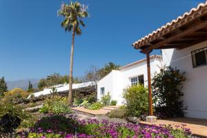 埃尔帕索Casa Arándano的棕榈树和紫色花的房屋