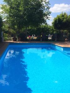 吕讷堡petite maison的院子里的大型蓝色游泳池