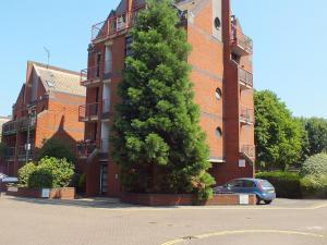 伦敦Rotherhithe apartment near park and river的砖楼前的一棵大树