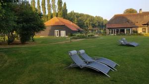 巴勒纳绍Schaluinenhoeve的两把蓝色椅子坐在院子里的草地上