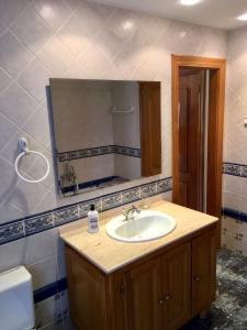桑提亚纳德玛Posada Adela的一间带水槽和镜子的浴室
